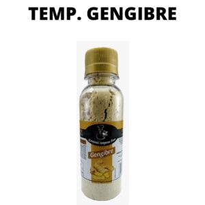 TEMP GENGIBRE EM PO 65GR